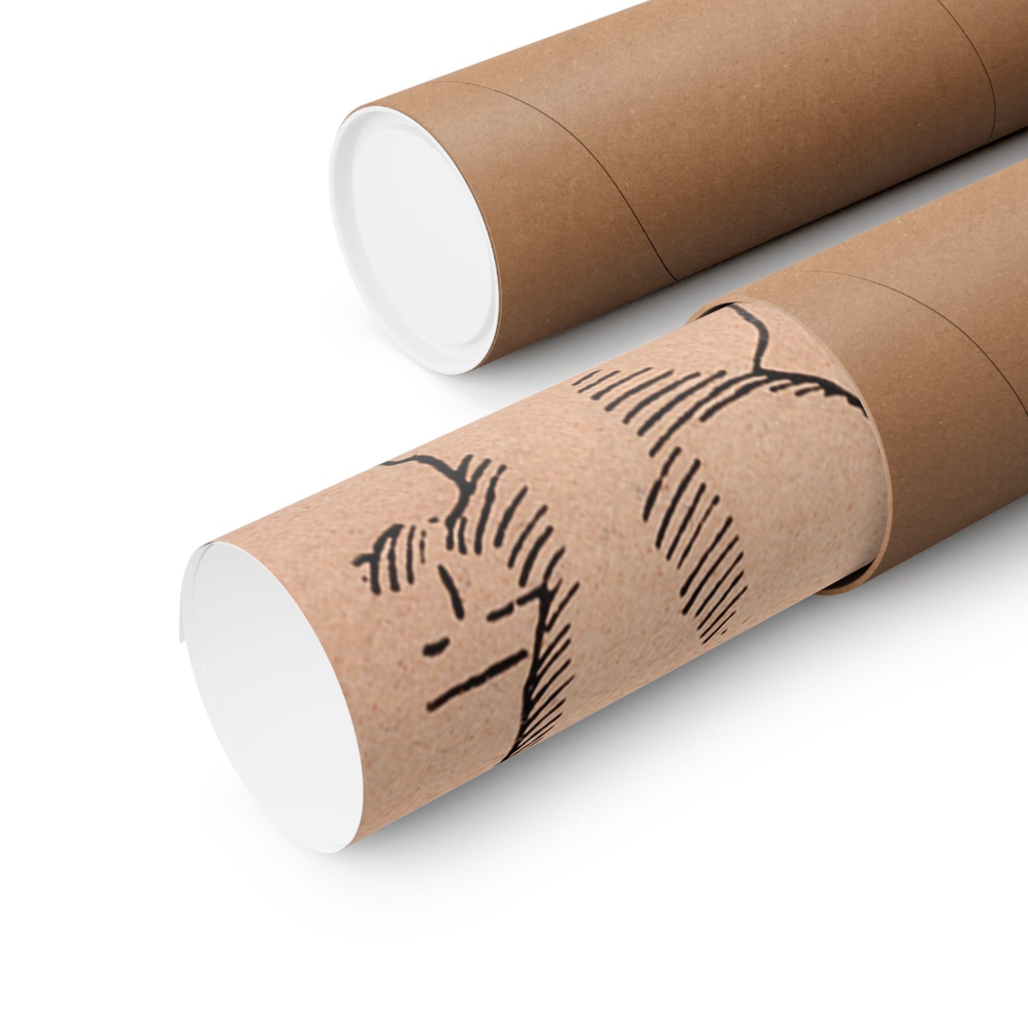 Pond's Bitters Company Victorian Lady | Quack Medicine Elixir & Cocktail Bitters | Fulton Street | Chicago Illinois IL | Circa 1900s